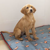 Green Pheasant Reversible Water Resistant Boot Mat by House of Paws